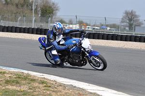 debutant (55)